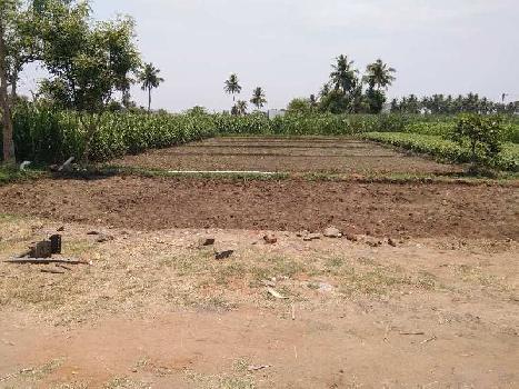 10 Cent Residential Plot for Sale in Kallakurichi, Villupuram