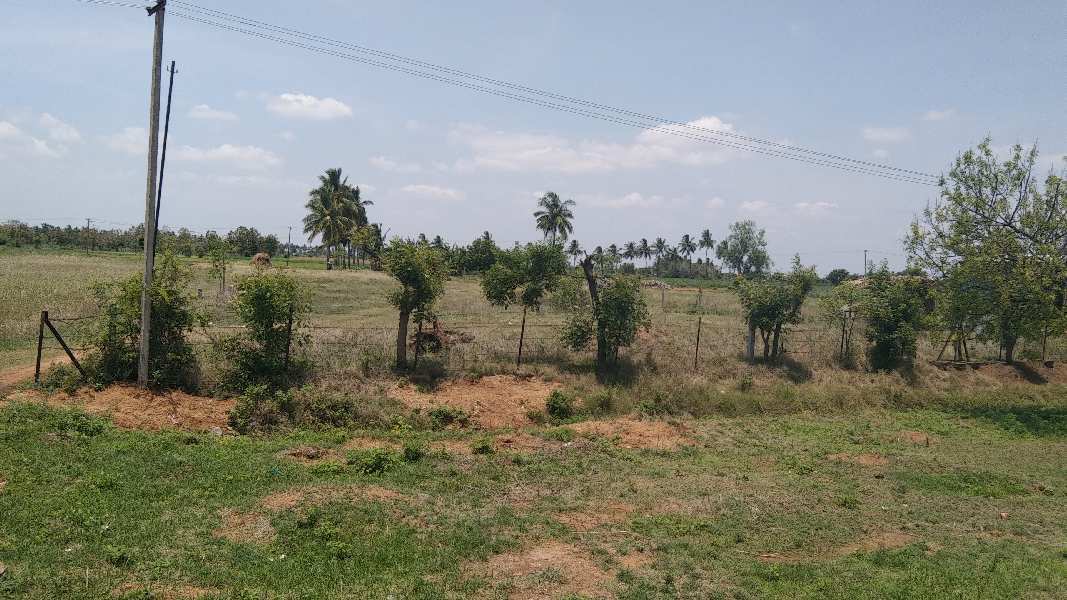 38 Cent Commercial Lands /Inst. Land for Sale in Veppur, Cuddalore