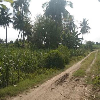 2.75 Acre Agricultural/Farm Land for Sale in Thiagadurgam, Villupuram