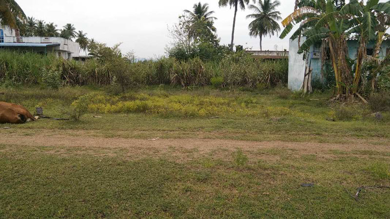 2.5 Cent Residential Plot for Sale in Kallakurichi, Villupuram