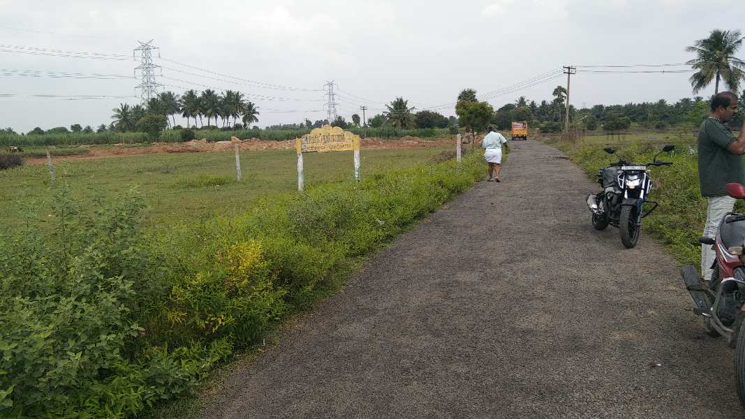 5.25 Acre Agricultural/Farm Land for Sale in Ulundurpettai, Villupuram