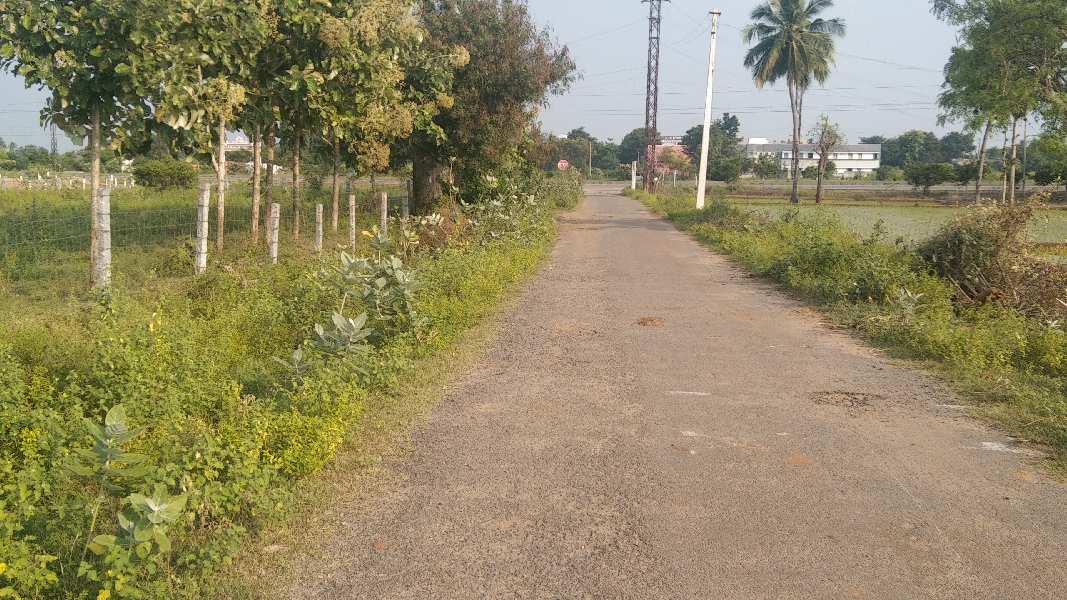50 Cent Commercial Lands /Inst. Land for Sale in Kallakurichi, Villupuram