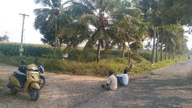 1.5 Acre Agricultural/Farm Land for Sale in Kallakurichi, Villupuram