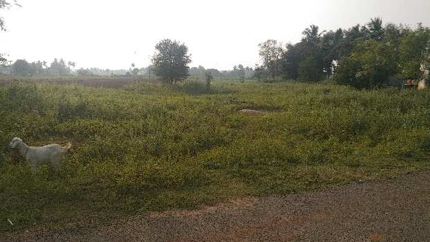 1 Acre Agricultural/Farm Land for Sale in Kallakurichi, Villupuram