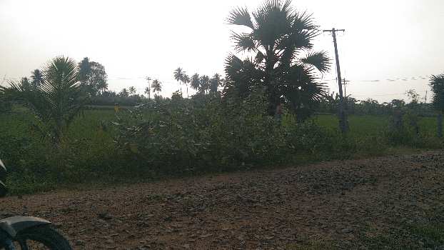 2 Acre Agricultural/Farm Land for Sale in Kallakurichi, Villupuram