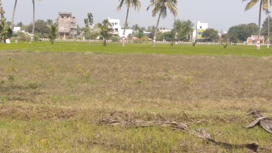 4.5 Acre Agricultural/Farm Land for Sale in Kallakurichi, Villupuram