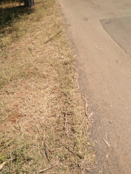 4 Cent Residential Plot for Sale in Seelanaickenpatti, Salem