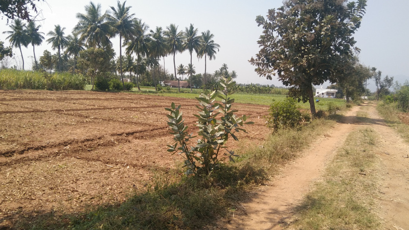1 Acre Agricultural/Farm Land for Sale in Kallakurichi, Villupuram