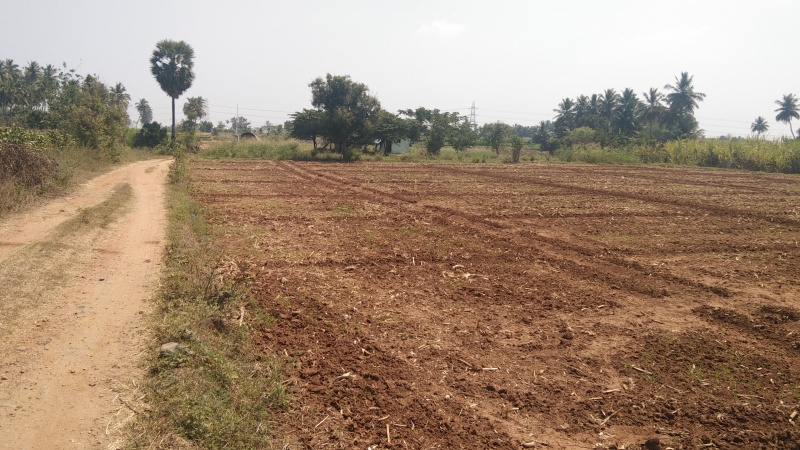 1 Acre Agricultural/Farm Land for Sale in Kallakurichi, Villupuram