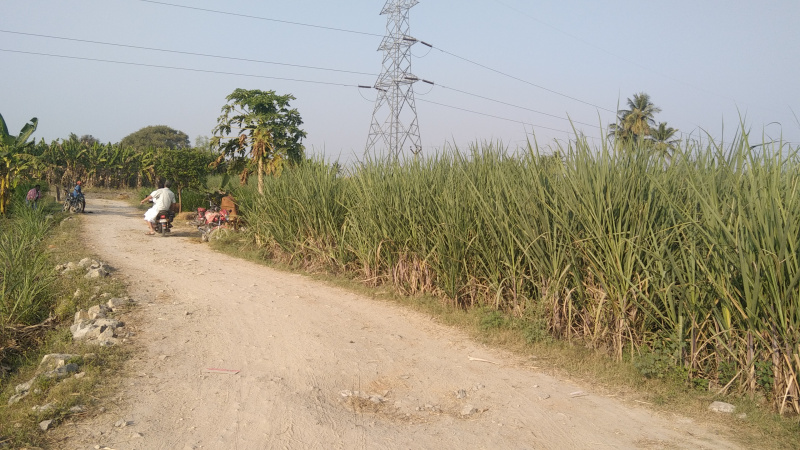 3.5 Acre Agricultural/Farm Land for Sale in Kallakurichi, Villupuram