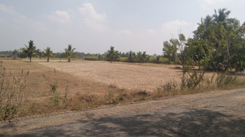 7.5 Acre Agricultural/Farm Land for Sale in Kallakurichi, Villupuram
