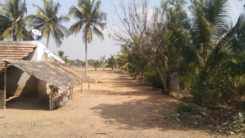 7.5 Acre Agricultural/Farm Land for Sale in Kallakurichi, Villupuram