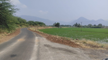 5.5 Acre Agricultural/Farm Land for Sale in Thuraiyur, Tiruchirappalli