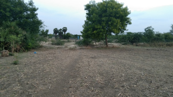 4.5 Acre Agricultural/Farm Land for Sale in Veppur, Cuddalore