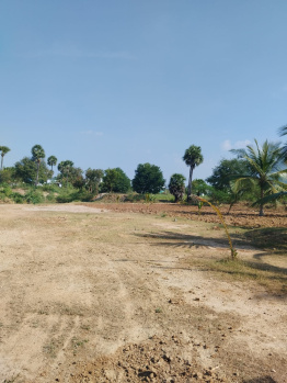 AGRILAND FOR SALE IN KARAIKAL, THIRUNALLARU