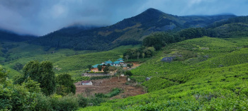 Property for sale in Munnar, Idukki