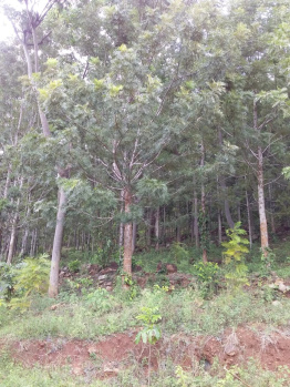 Property for sale in Vellalapatti, Salem