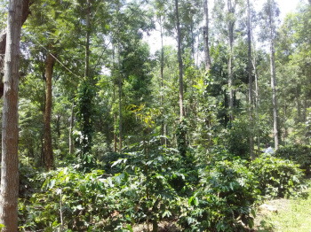 Property for sale in Vellalapatti, Salem