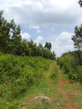 Property for sale in Vellalapatti, Salem
