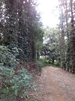 Property for sale in Vellalapatti, Salem