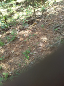 Property for sale in Vellalapatti, Salem