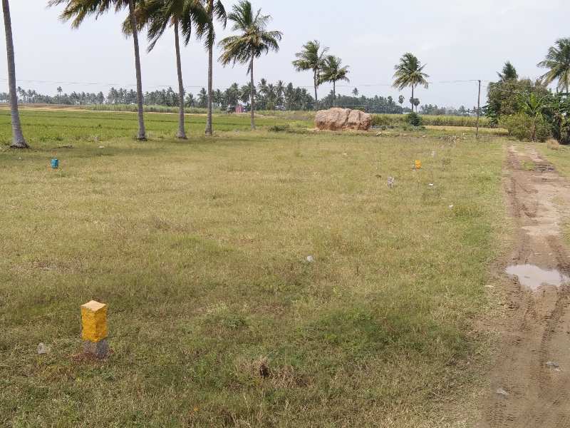 3.30 Cent Residential Plot for Sale in Kallakurichi, Villupuram