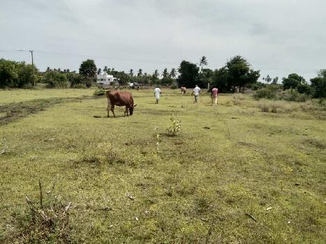 4 Acre Agricultural/Farm Land for Sale in Kallakurichi, Villupuram