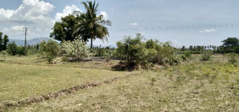 4 Acre Agricultural/Farm Land for Sale in Kallakurichi, Villupuram