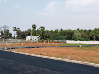 Residential Plot for Sale in Balakrishnapuram, Dindigul (1200 Sq.ft.)