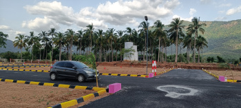 Residential Plot for Sale in Chinnalapatti, Dindigul (1200 Sq.ft.)