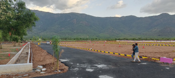 Residential Plot for Sale in Chinnalapatti, Dindigul (1200 Sq.ft.)