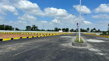Residential Plot for Sale in Chinnalapatti, Dindigul (1200 Sq.ft.)