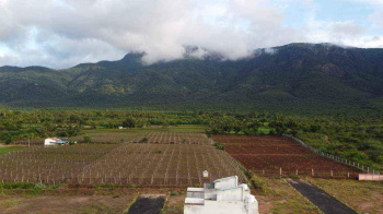 Property for sale in Natham, Dindigul