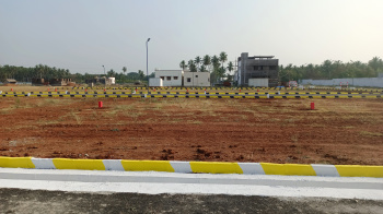 Residential Plot for Sale in Malaipatty, Dindigul (436 Sq.ft.)