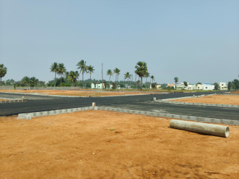 Residential Plot for Sale in Malaipatty, Dindigul (436 Sq.ft.)