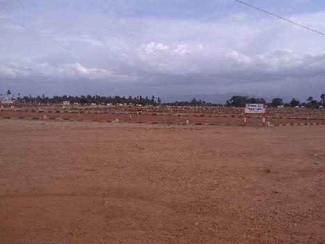 Residential Plot for Sale in Vedasandur, Dindigul (600 Sq.ft.)