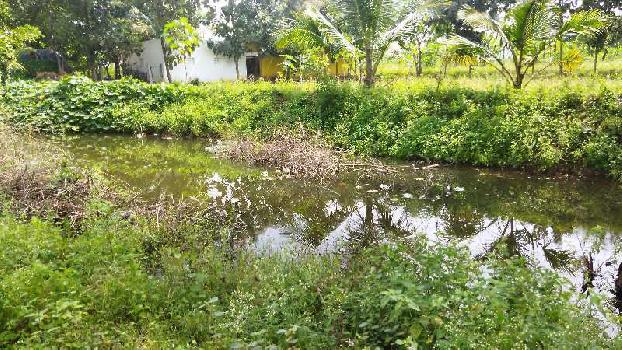 1.79 Acre Agricultural/Farm Land For Sale In Veppanapalli, Krishnagiri
