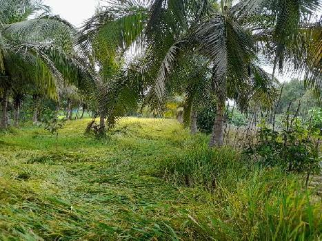 7.50 Acre Agricultural/Farm Land for Sale in Marandahalli, Dharmapuri