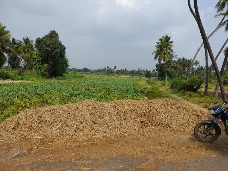 2.60 Acre Agricultural/Farm Land for Sale in Veppanapalli, Krishnagiri