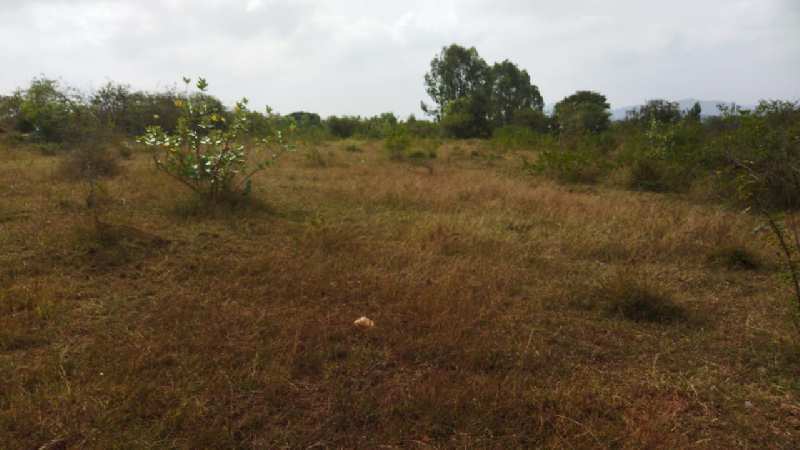 10 Acre Agricultural/Farm Land for Sale in Denkanikottai, Krishnagiri