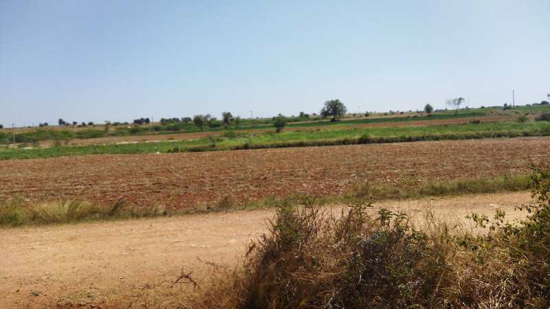 10 Acre Agricultural/Farm Land for Sale in Pavagada, Tumkur