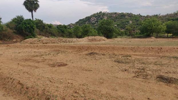 Agricultural/Farm Land For Sale In Shoolagiri, Krishnagiri (19 Acre)