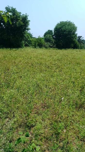 Agricultural/Farm Land for Sale in Shoolagiri, Krishnagiri (4.50 Acre)