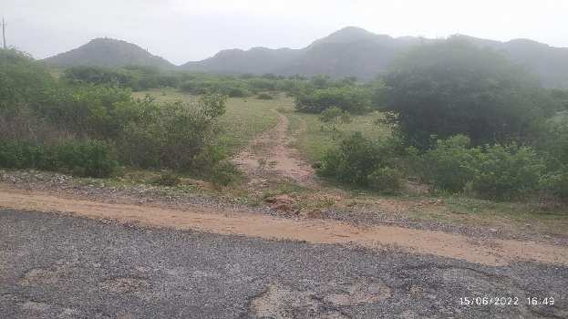 24 Acre Agricultural/Farm Land for Sale in Pavagada, Tumkur