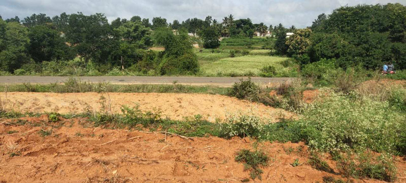 Agricultural/Farm Land for Sale in Shoolagiri, Krishnagiri (2 Acre)