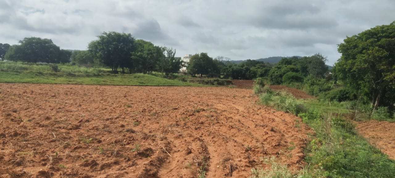 Agricultural/Farm Land for Sale in Shoolagiri, Krishnagiri (2 Acre)