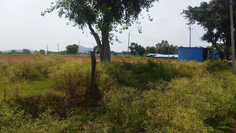5 Acre Agricultural/Farm Land for Sale in Kanakapura, Bangalore