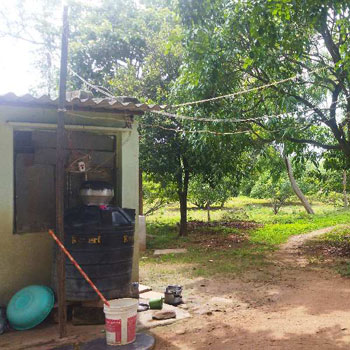 6.50 Acre Agricultural/Farm Land for Sale in Halaguru, Mandya