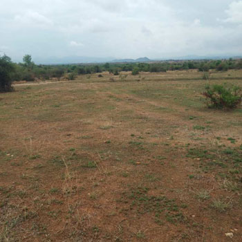 45 Acre Agricultural/Farm Land for Sale in Mudigubba, Anantapur
