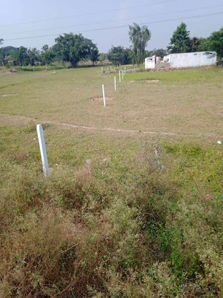 1.50 Acre Agricultural/Farm Land for Sale in Rudraram, Hyderabad